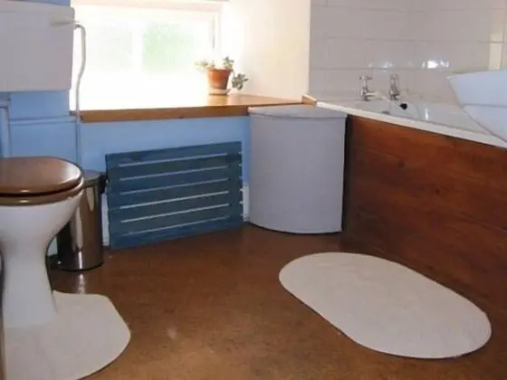 Glynhir Mansion - Banyo Özellikleri