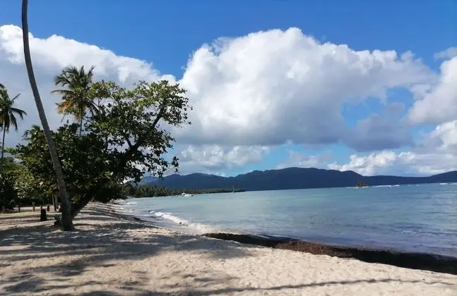 Go Las Galeras Inn