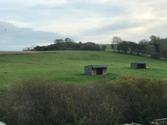 Godshill Park Barn - Dış Mekan