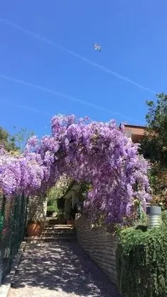 Goga Apartments - Dış Mekan