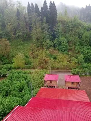 Gogalay Bungalov Hotel - Genel