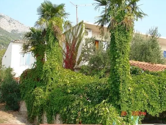 Goge - 90 m From the Beach - A1 - Dış Mekan