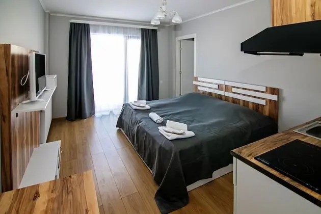 Gogo Apartments New Gudauri - Öne Çıkan Resim