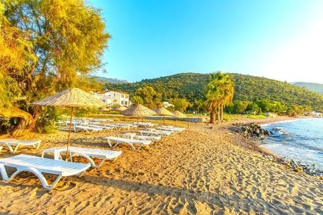 Gold Green Hotel - Plaj