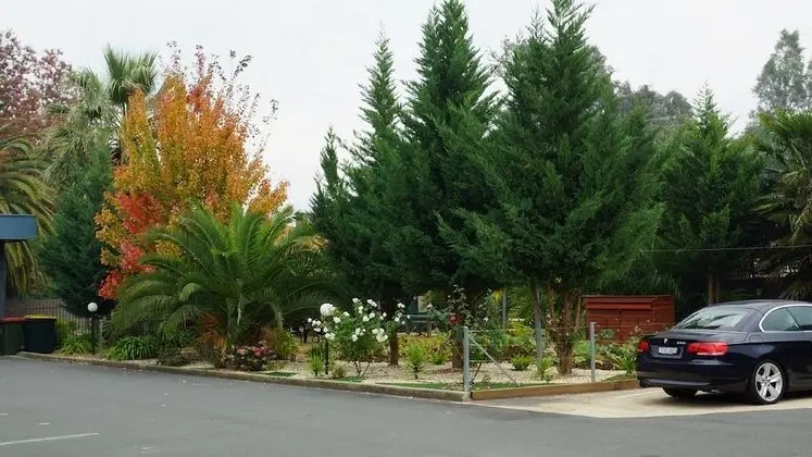 Golden Leaf Motor Inn - Dış Mekan