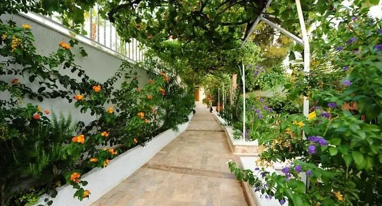 Golden Lighthouse Hotel - Lobi