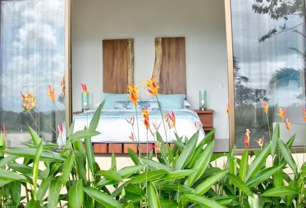 Golden Pineapple Villas - Oda