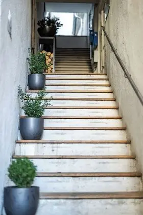Hotel Goldene Steig - Dış Mekan