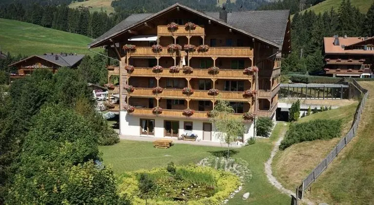 Golfhotel Les Hauts De Gstaad - Genel