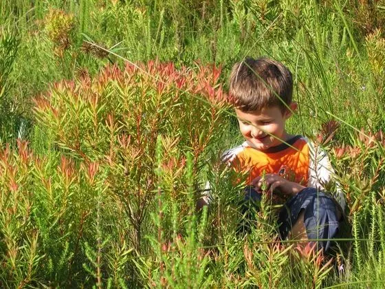 Gondwana Game Reserve