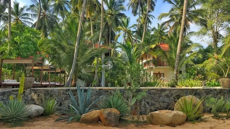 Good Karma Ayurvedic Resort - Dış Mekan
