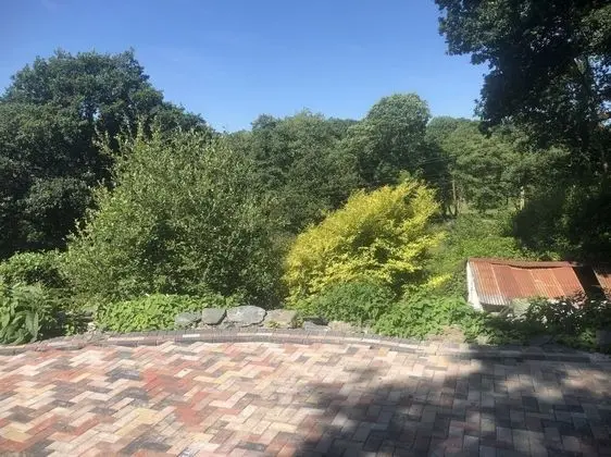 Goose house studio - Dış Mekanlar