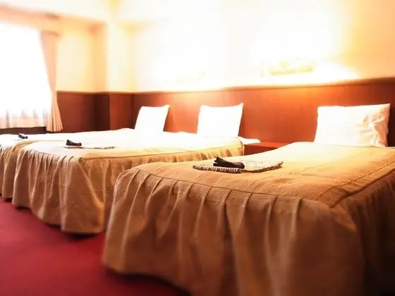 Gora Hotel PAIPU NO KEMURI - Oda