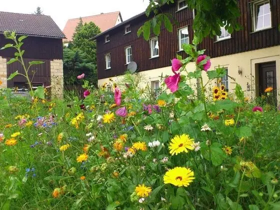 Gorgeous Apartment in Weißig Saxony With Garden - Dış Mekan