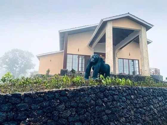 Gorilla Heights Lodge - Dış Mekan