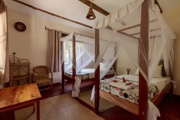 Gorilla Valley Lodge - Oda