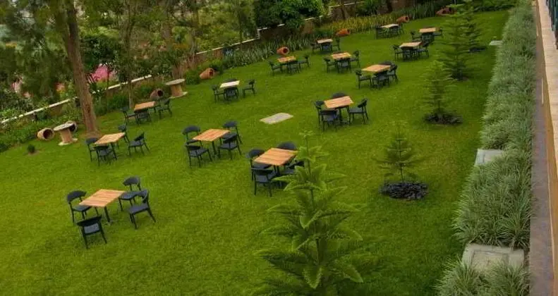 Gorillas Golf - Manzara / Peyzaj