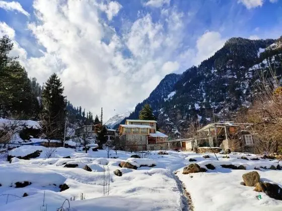 Goroomgo The Crazy Indian Manali - İç Mekan