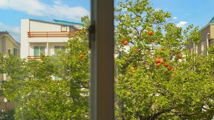 Goseong Gamnamu Pension - Öne Çıkan Resim
