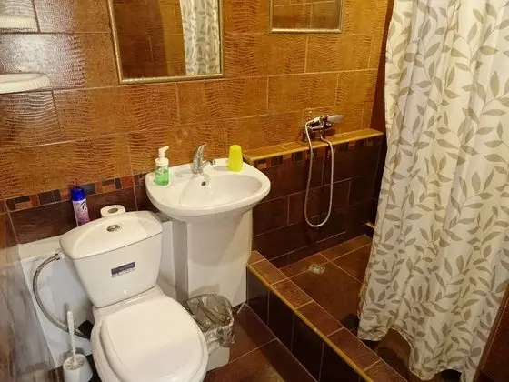 Gostevoy dom South - Banyo Tipleri