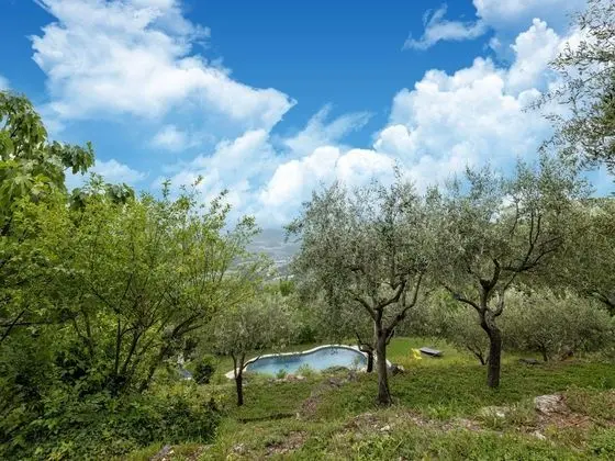 Graceful Holiday Home in Acqualagna With Swimming Pool - Dış Mekan