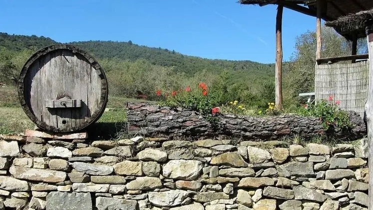 Granaio in Chianti - İç Mekan