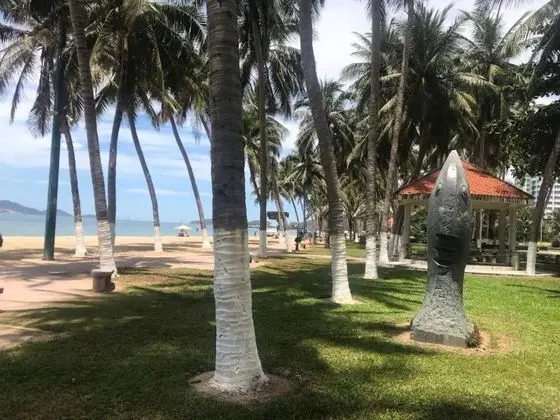 Grand Beach Hotel - Plaj