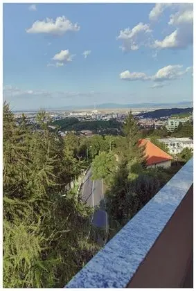 Grand Hotel Belvedere Brasov - Dış Mekan