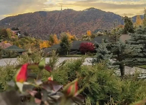 Grand Hotel Belvedere Brasov - Genel