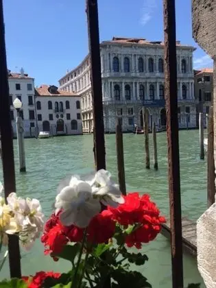 Grand Canal Rialto Palace Lift