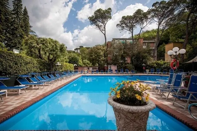Grand Hotel du Park et Regina - Havuz