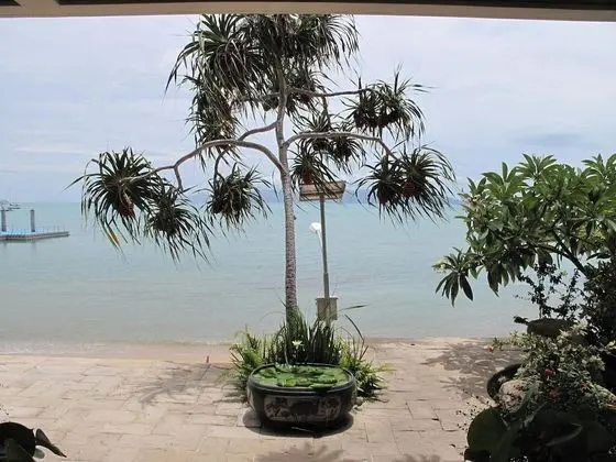 Grand Villa La Perla - Dış Mekan