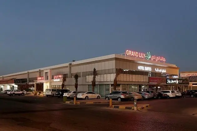 Grand Lily Hotel Suites - Dış Mekan