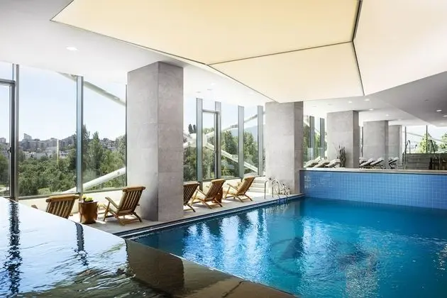 Grand Hotel Millennium Sofia - Havuz