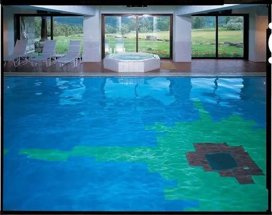 Hotel Grand Phenix Okushiga - Havuz