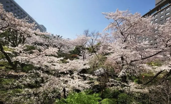 Grand Prince Hotel Takanawa - Öne Çıkan Resim