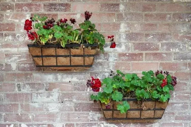 Grand Hotel & Studios - Dış Mekan
