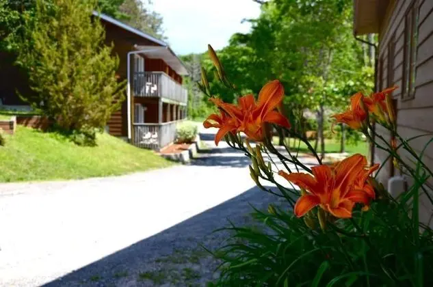 The Grand Tappattoo Resort, an Ascend Hotel Collection Member - Dış Mekan