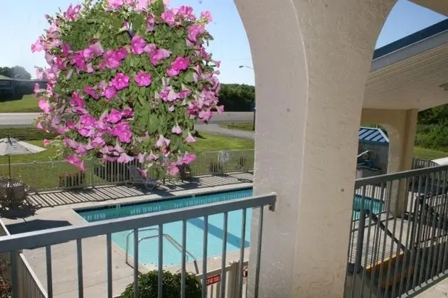 Grand Vista Hotel - Havuz
