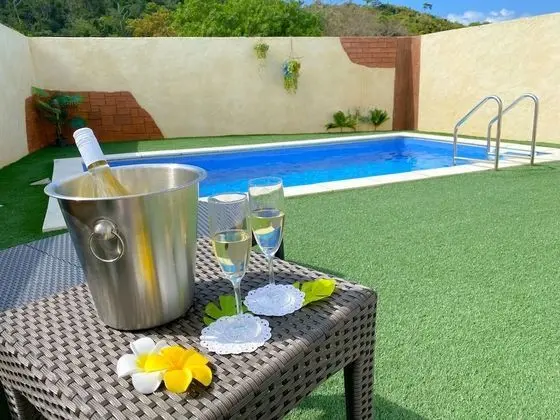 Grandioso Okinawa Pool Villa ONNA6 - Havuz