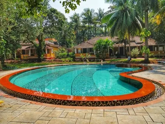 Granpas Inn Bougainvillea