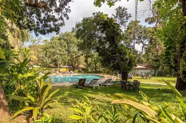 Granpas Inn Bougainvillea