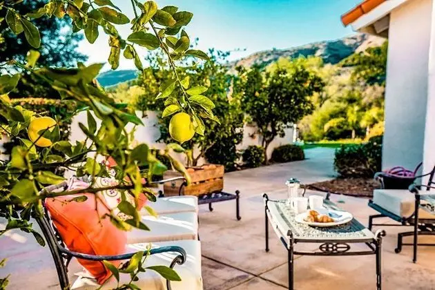 Grapevine by Avantstay Secluded 5BR Villa 4 Acres of Vineyards & Avo Groves! - İç Mekan