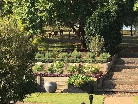 Grapevines Boutique Accommodation - Lobi