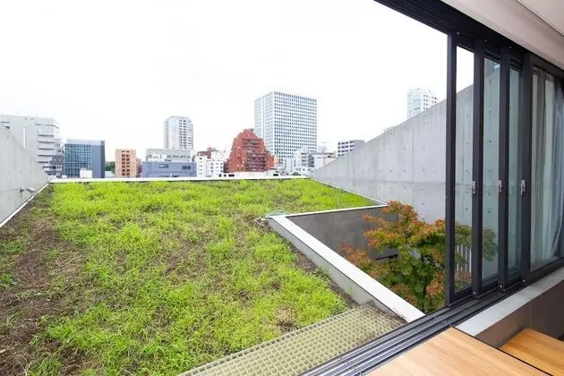 Grass Bldg