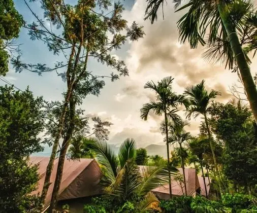 Grassroots Wayanad