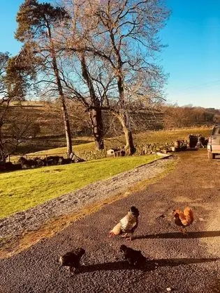 Gratton Grange Farm B&B - Dış Mekan