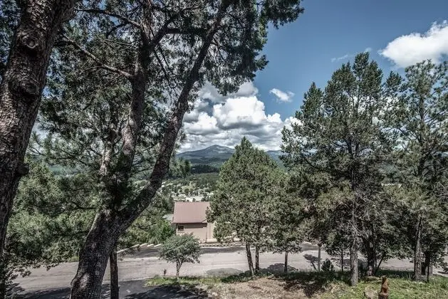 Gray Wolf Lodge - Dış Mekan