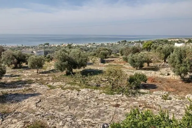 Grazia Pool Residence - Dış Mekan