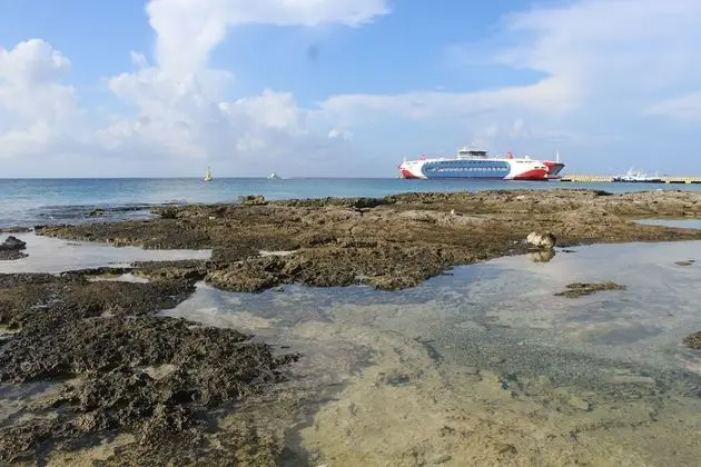 Great Condo in Cozumel OCEAN FRONT D10